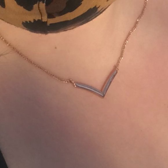 Gabriel & Co. 14kt Rose Gold Chevron Necklace - Picture 1 of 1